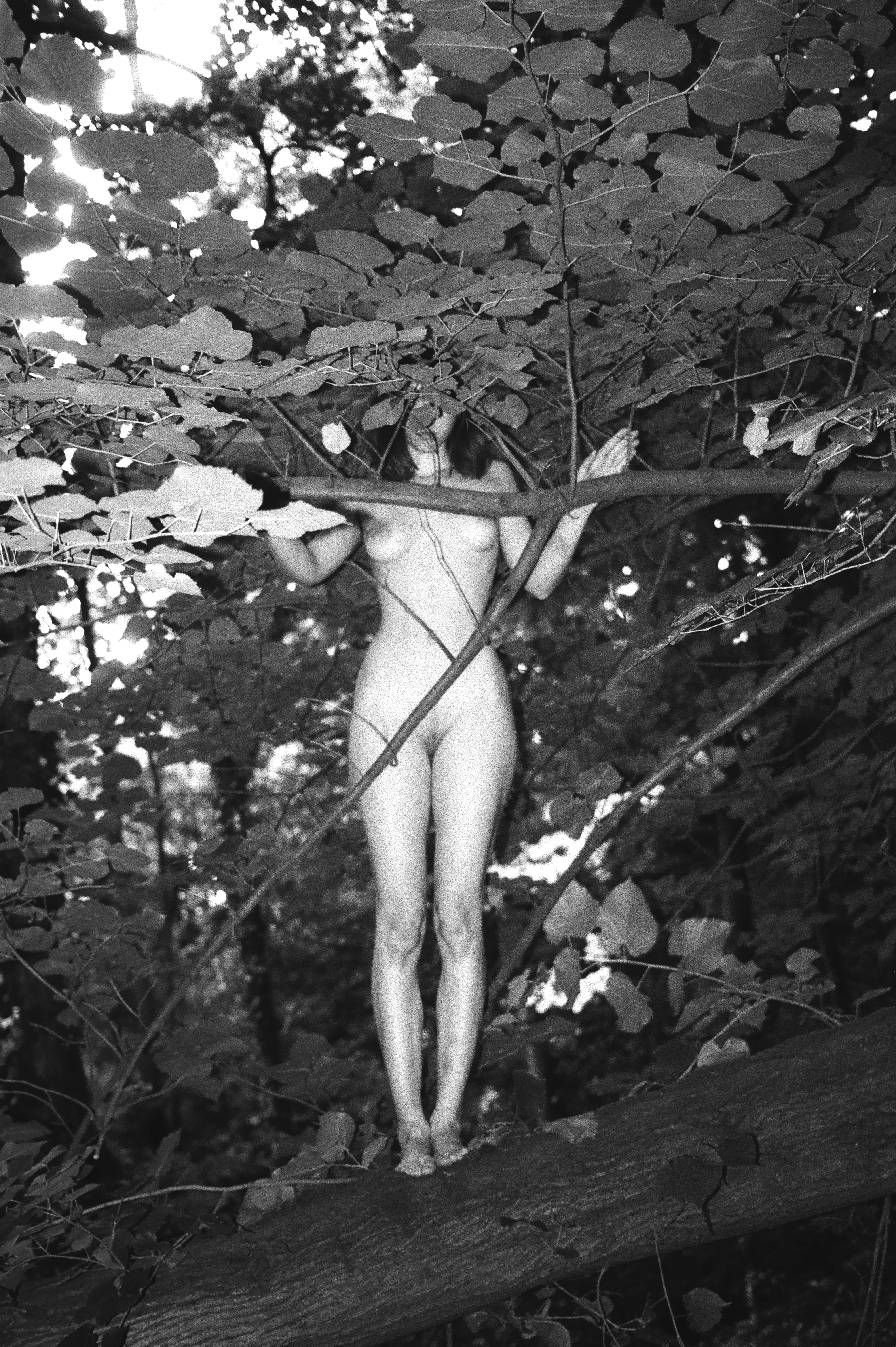 Film Photography — 4