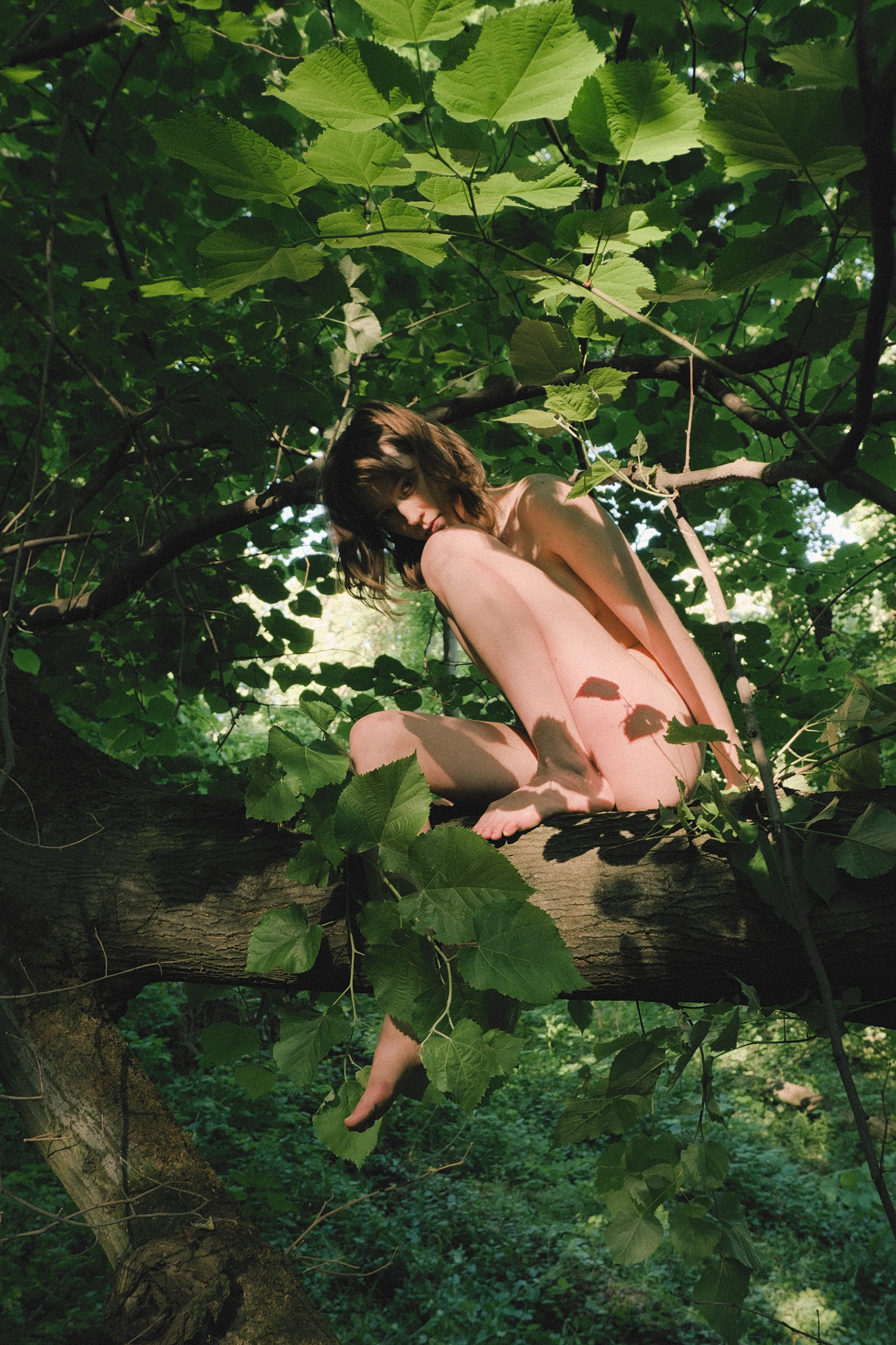 Artistic Nudes — 3